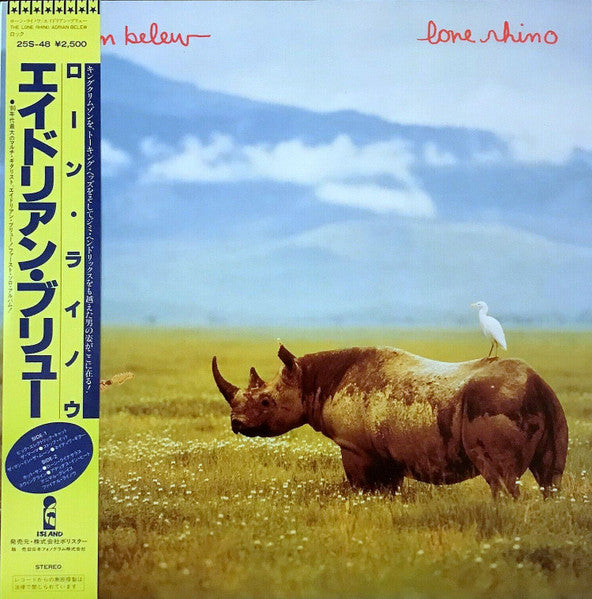 Lone Rhino