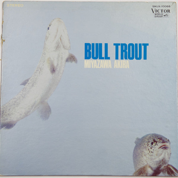 Bull Trout