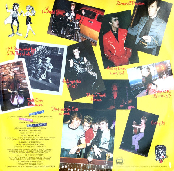Rant N' Rave With The Stray Cats