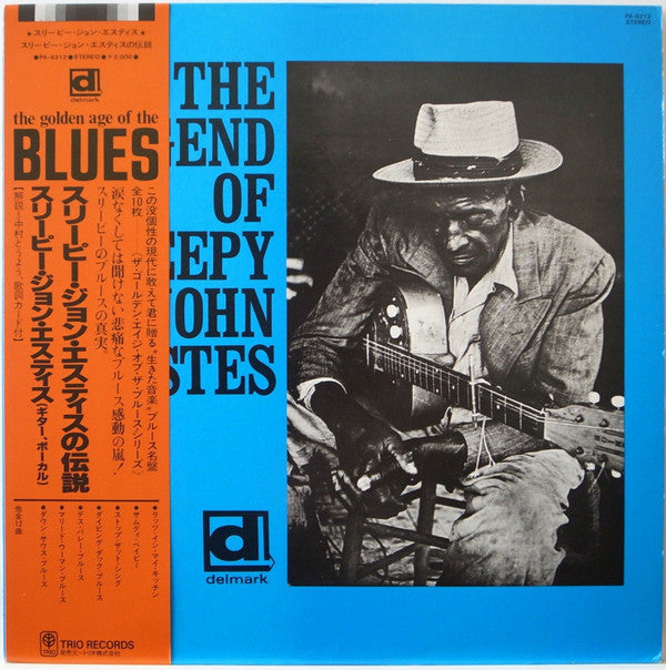 The Legend Of Sleepy John Estes = スリーピー・ジョン・エスティスの伝説