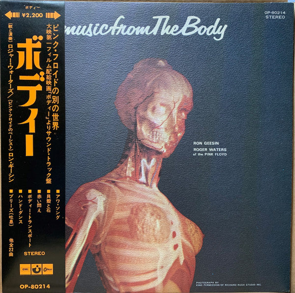 Music From The Body