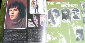 The Walker Brothers In Japan