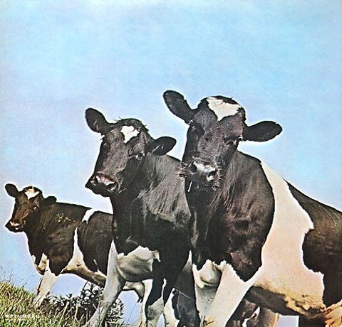 Atom Heart Mother = 原子心母