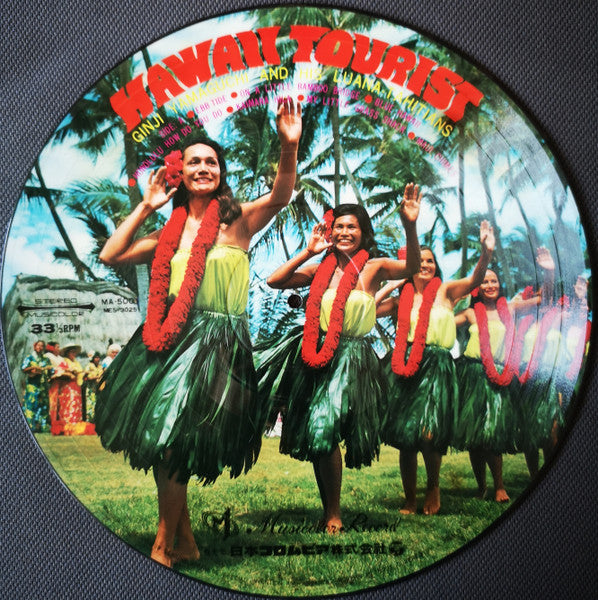 Hawaii Tourist