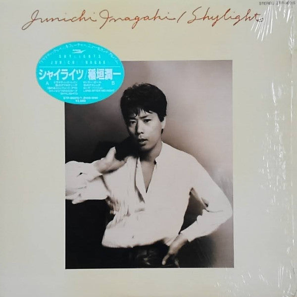 Shylights = シャイライツ