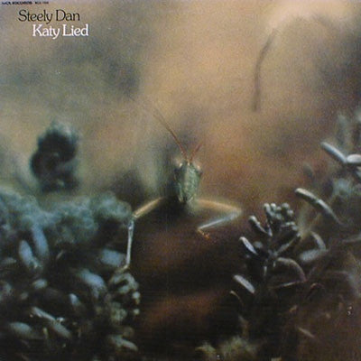 Katy Lied