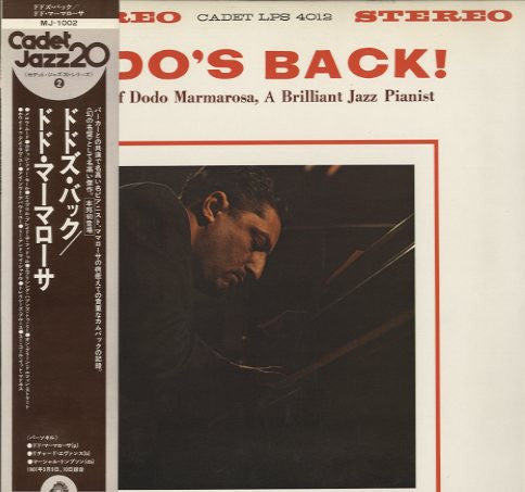 Dodo's Back