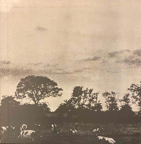 Atom Heart Mother