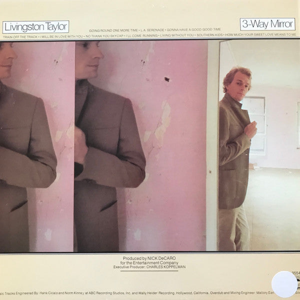 3-Way Mirror