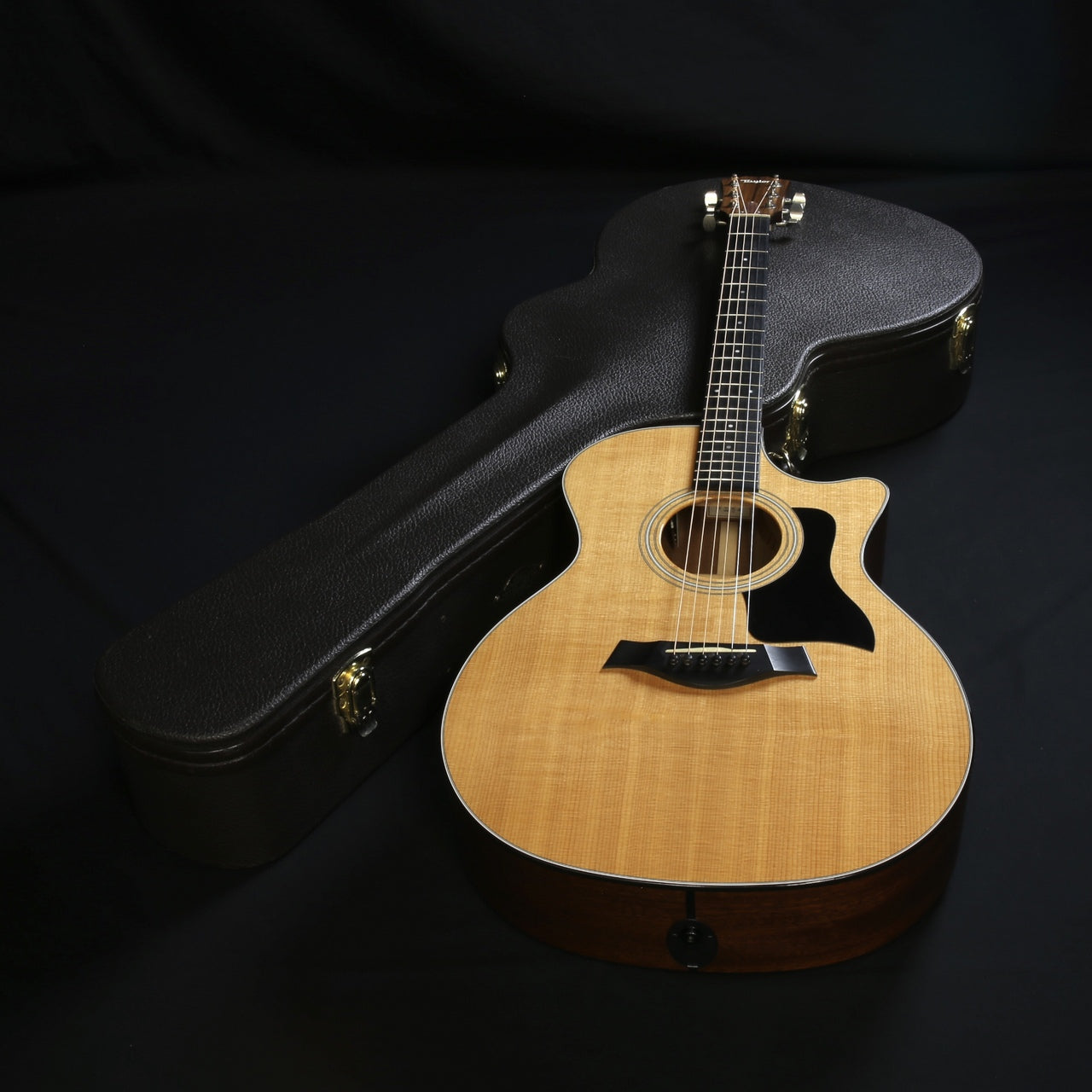 Electric / Acoustic Guitar