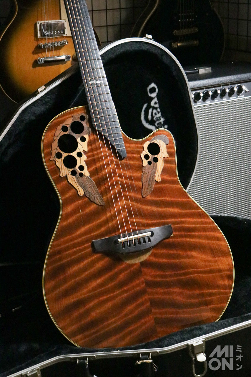 Electro-Acoustic Guitars