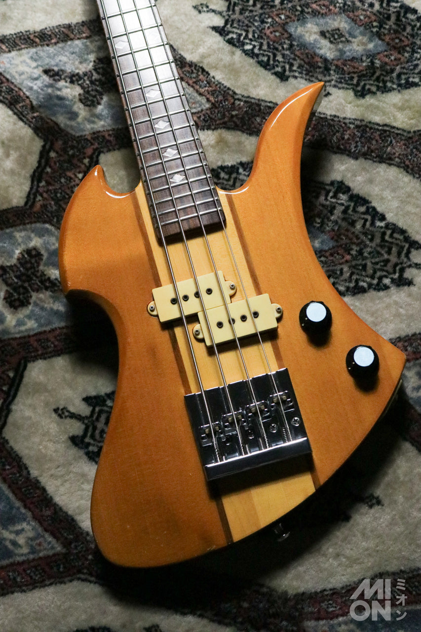 Electric Bass