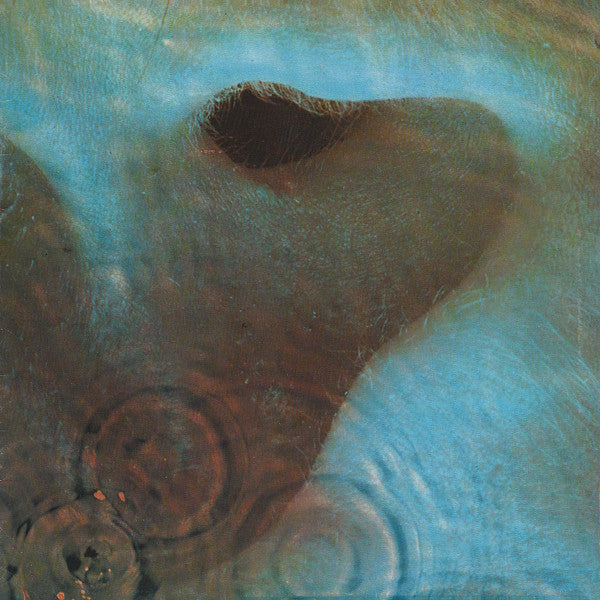 Meddle