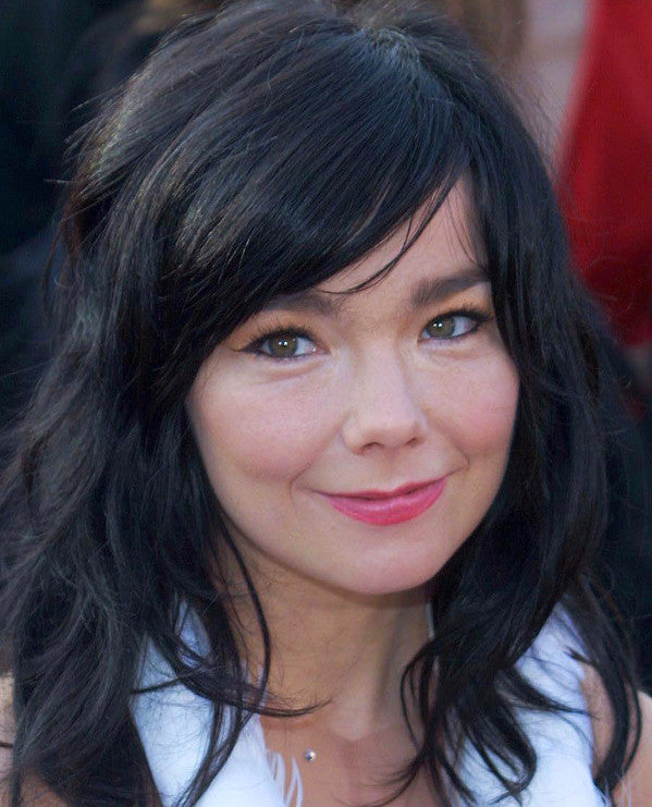 Björk Guðmundsdóttir