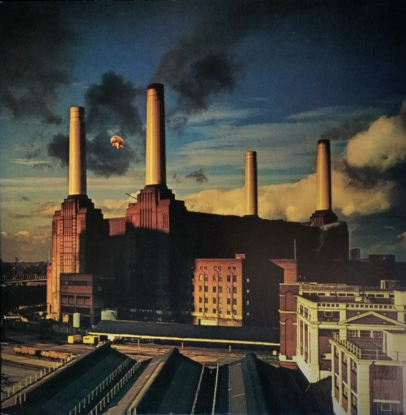 Animals