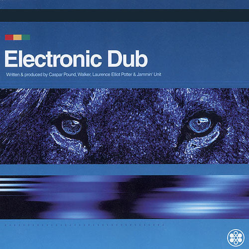 Electronic Dub