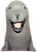 Skratchy Seal
