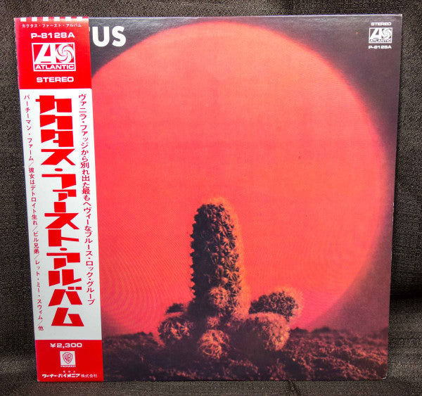 Cactus