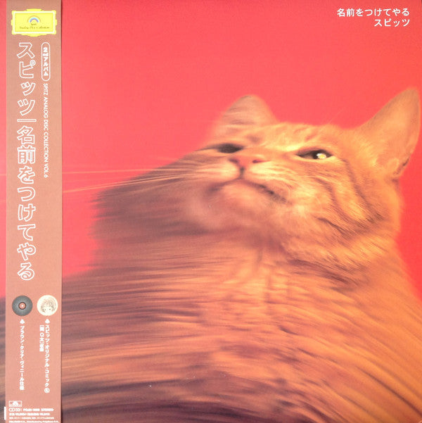 名前をつけてやる