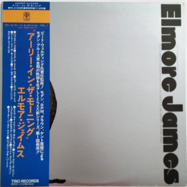 The Resurrection Of Elmore James