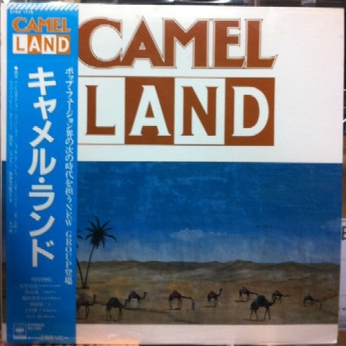 Camel Land