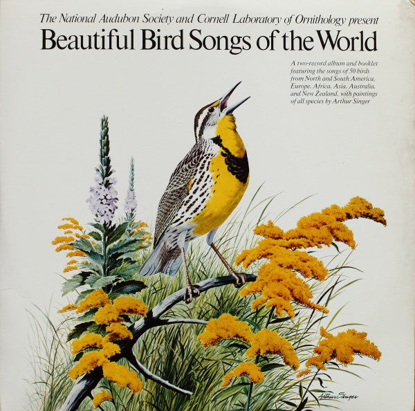 Beautiful Bird Songs Of The World
