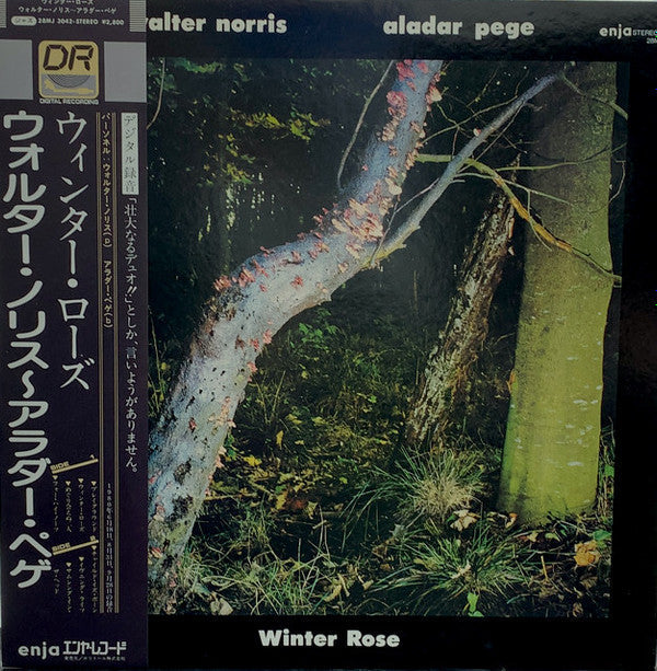 Winter Rose