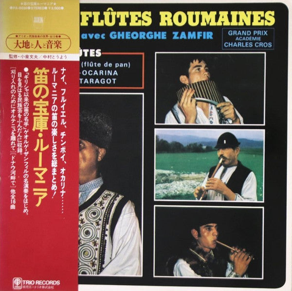 Les Flûtes Roumaines