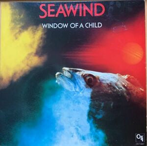 Window Of A Child