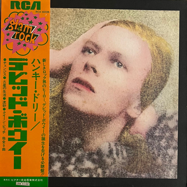 Hunky Dory