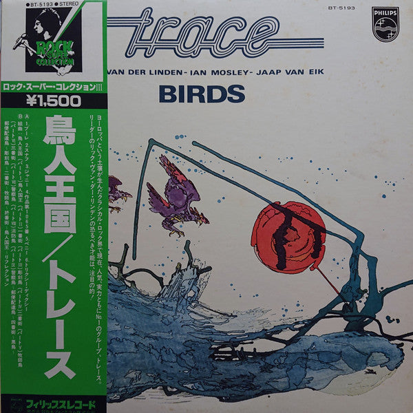 Birds