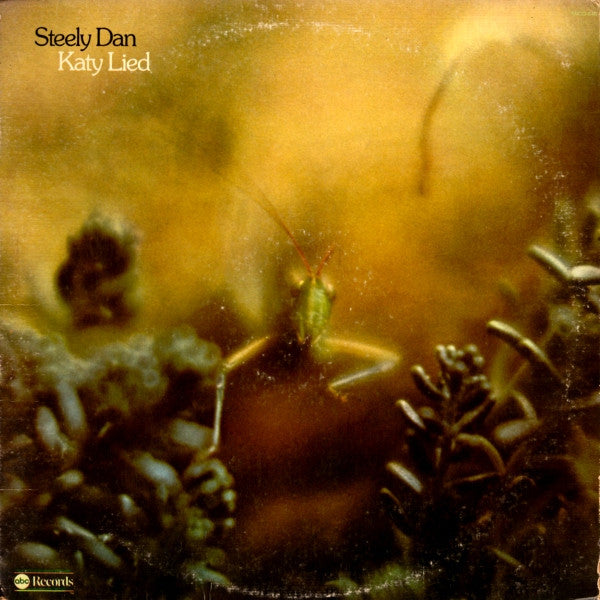 Katy Lied