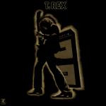Electric Warrior