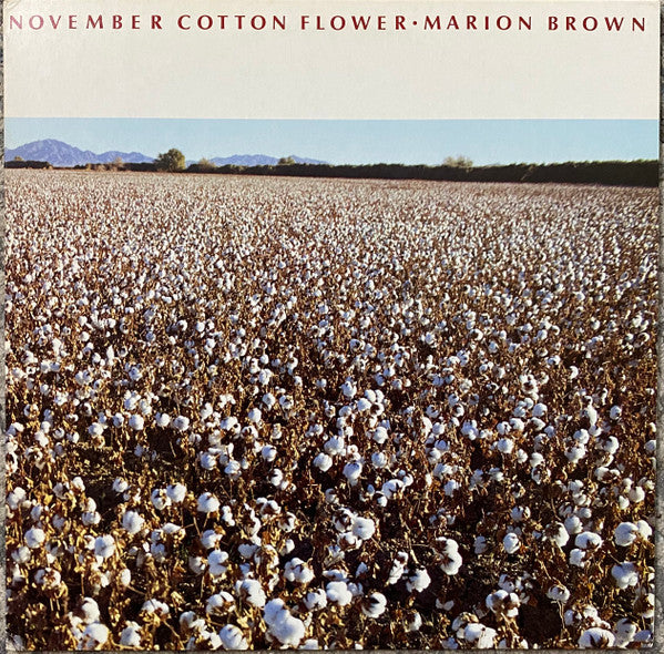 November Cotton Flower