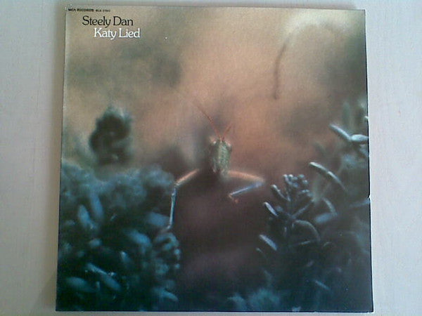 Katy Lied