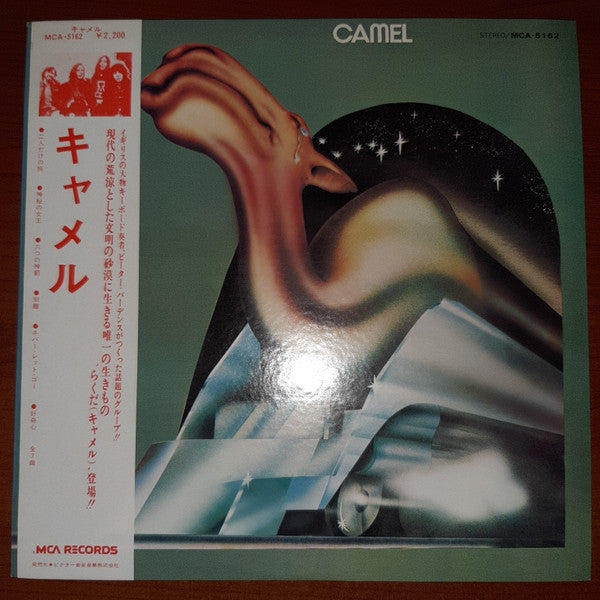 Camel