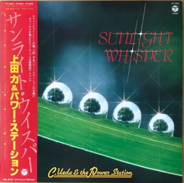 Sunlight Whisper