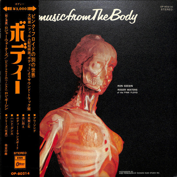 Music From The Body