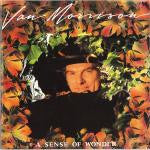 A Sense Of Wonder