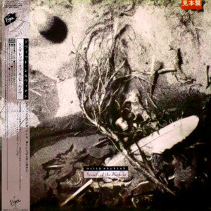 Secrets Of The Beehive