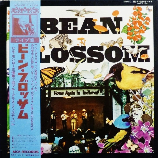 Bean Blossom