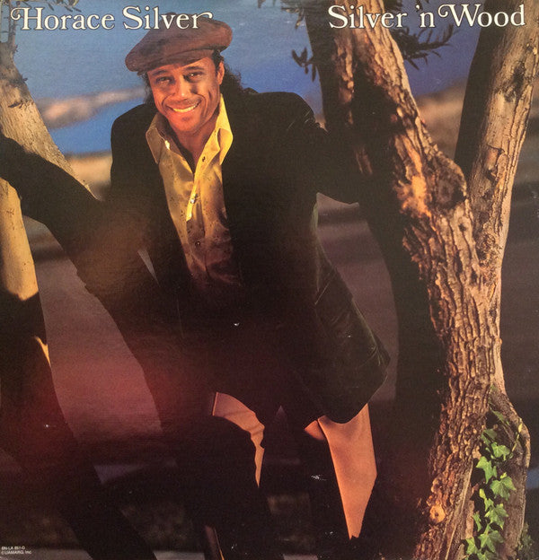 Silver 'N Wood