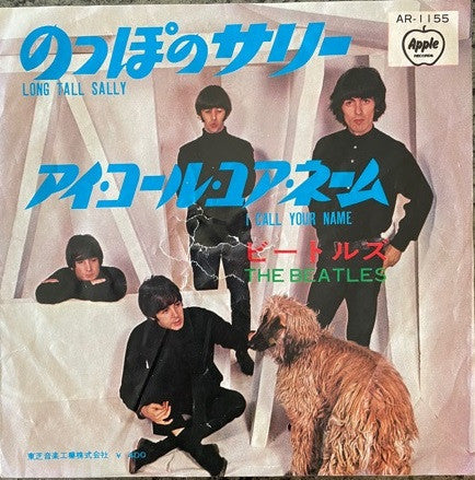 Long Tall Sally / I Call Your Name