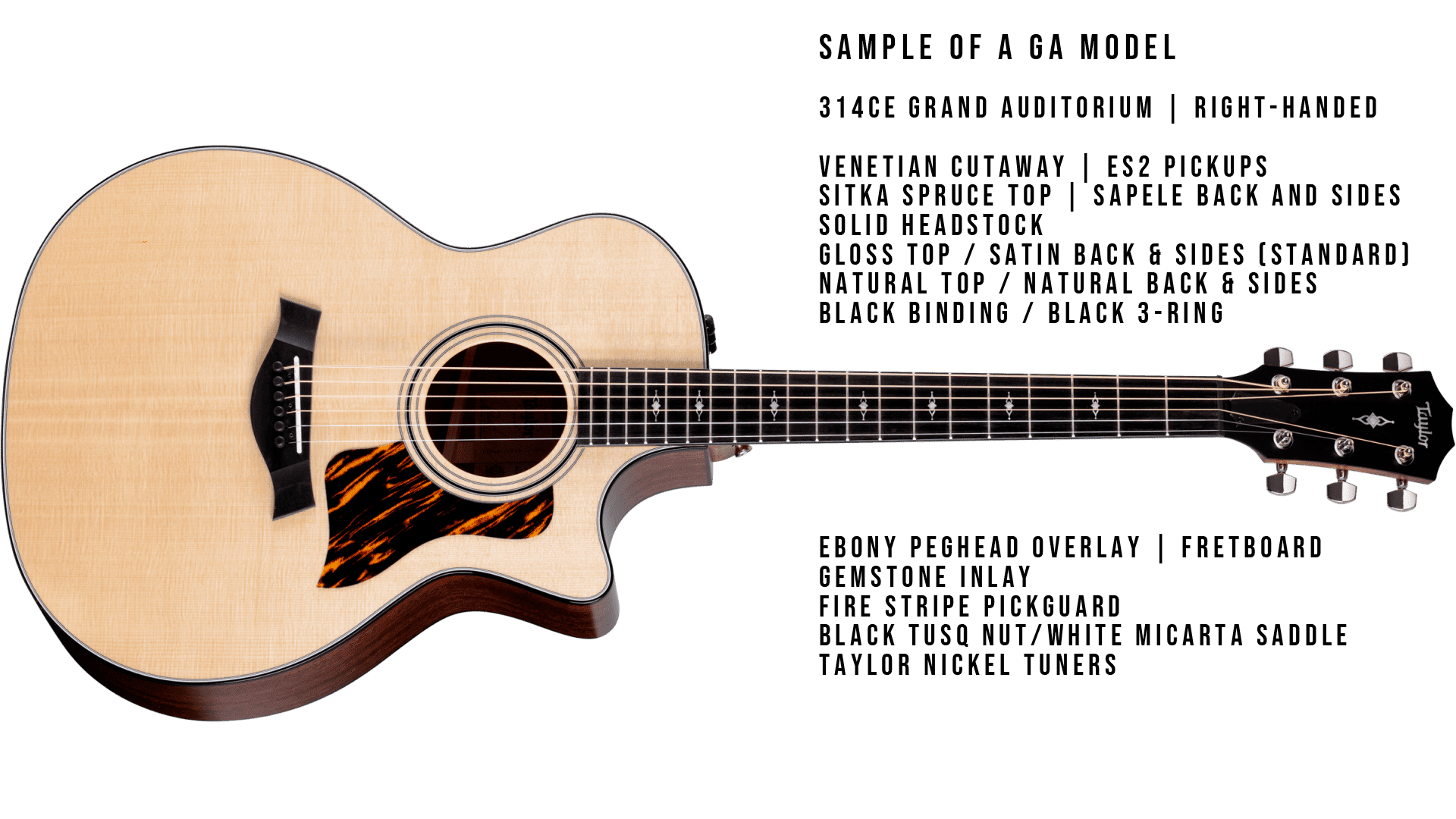 Taylor Custom Select Program - MION -
