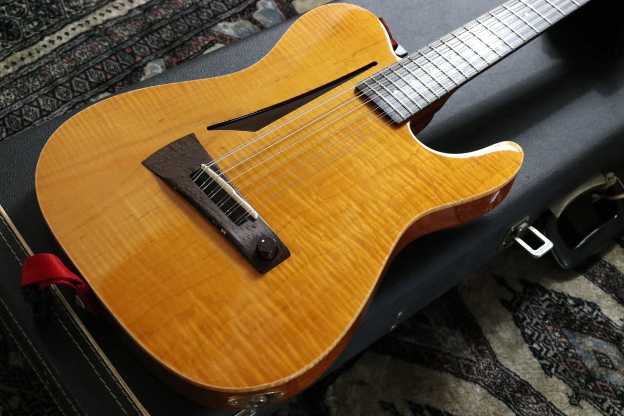 P-Project AI-12