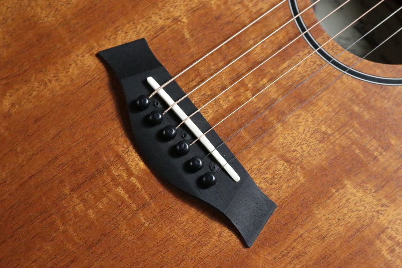 Taylor BT2e (Baby Taylor-e Mahogany) [Taylor-certified repair man store]