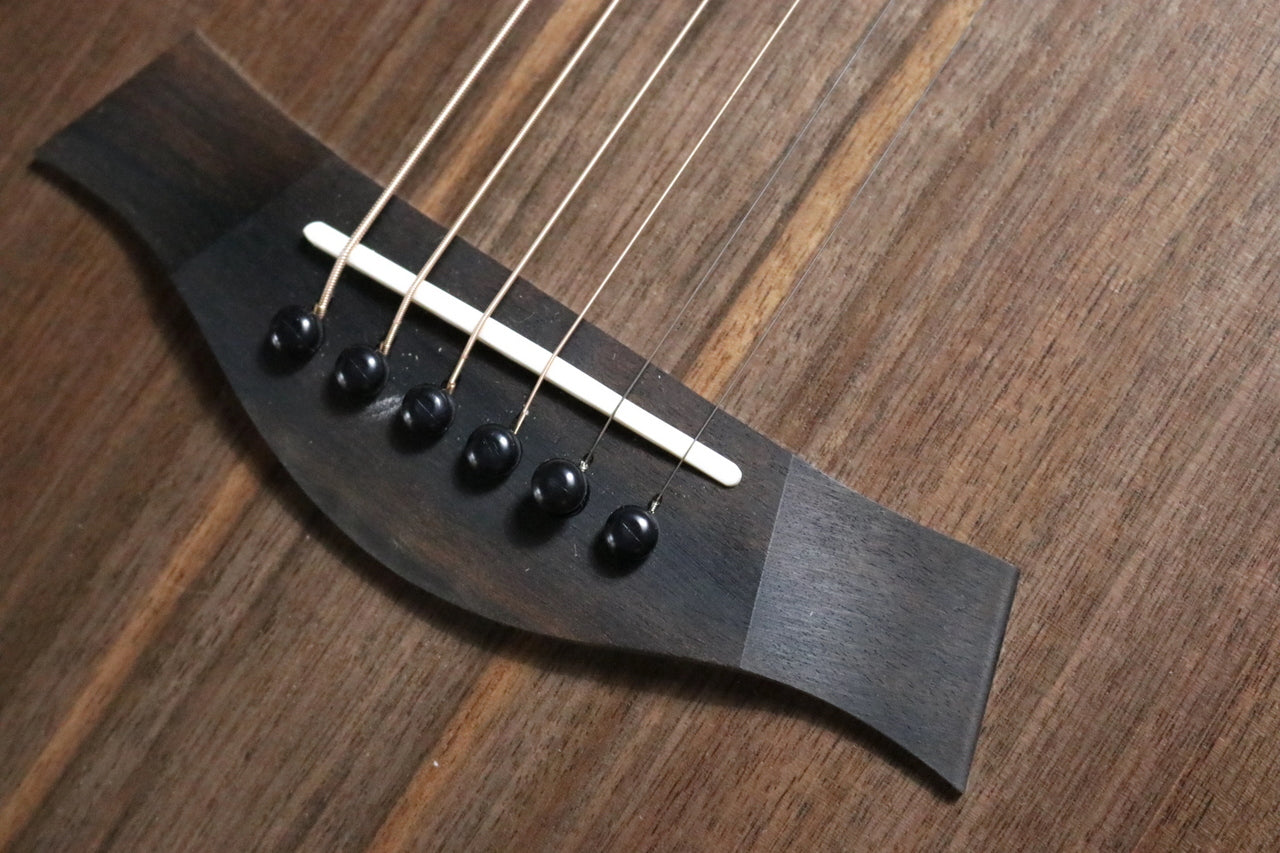 Taylor BBT (Big Baby Taylor) Walnut [Taylor authorized repair man store]