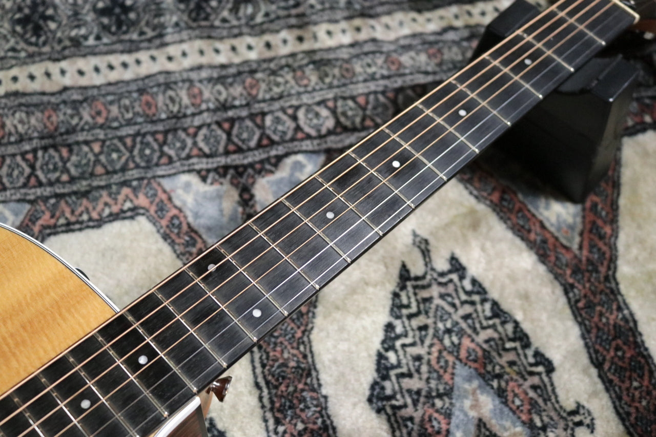 Taylor 210ce ES2 2020 [Taylor certified repair man store]