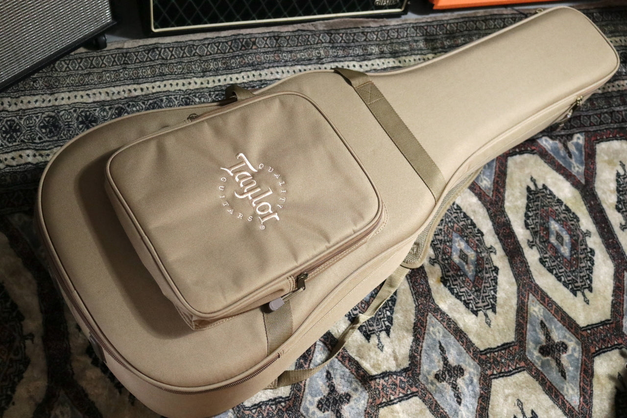 Taylor 210ce ES2 2020 [Taylor certified repair man store]