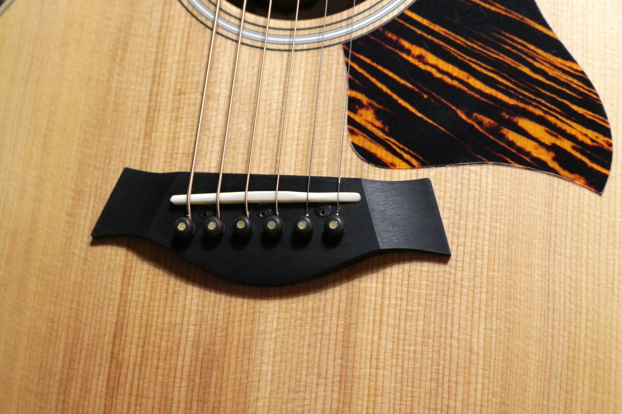 Taylor 50 Anniversary GS Mini-e Rosewood LTD [Taylor authorized repair man store]